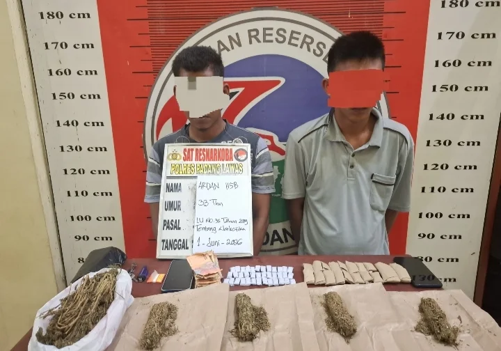 Satres Narkoba Polres Padang Lawas Tangkap Dua Terduga Pengedar Ganja, Ratusan Gram Barang Bukti Disita