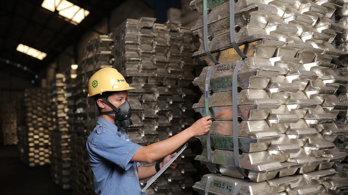 TINS Tebar Dividen Rp 656,8 Miliar